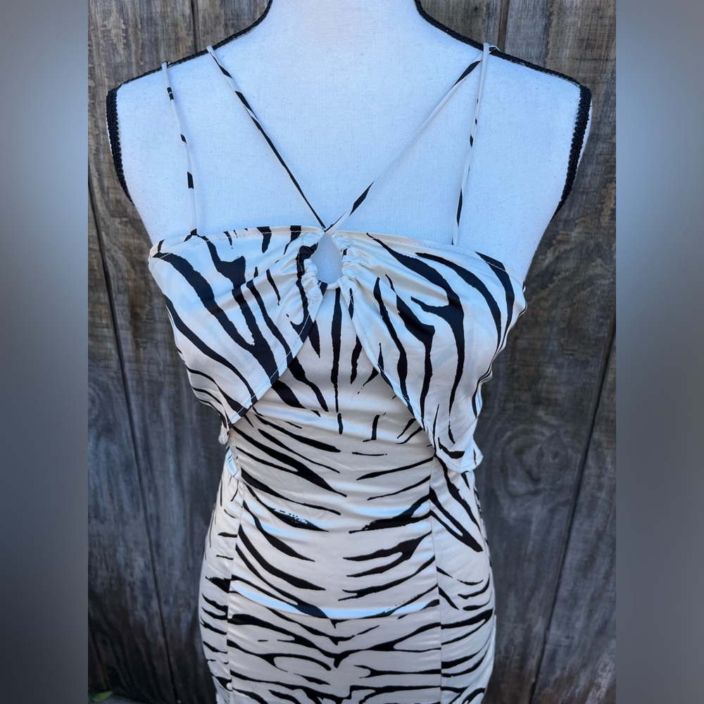 Zara zebra print dress
